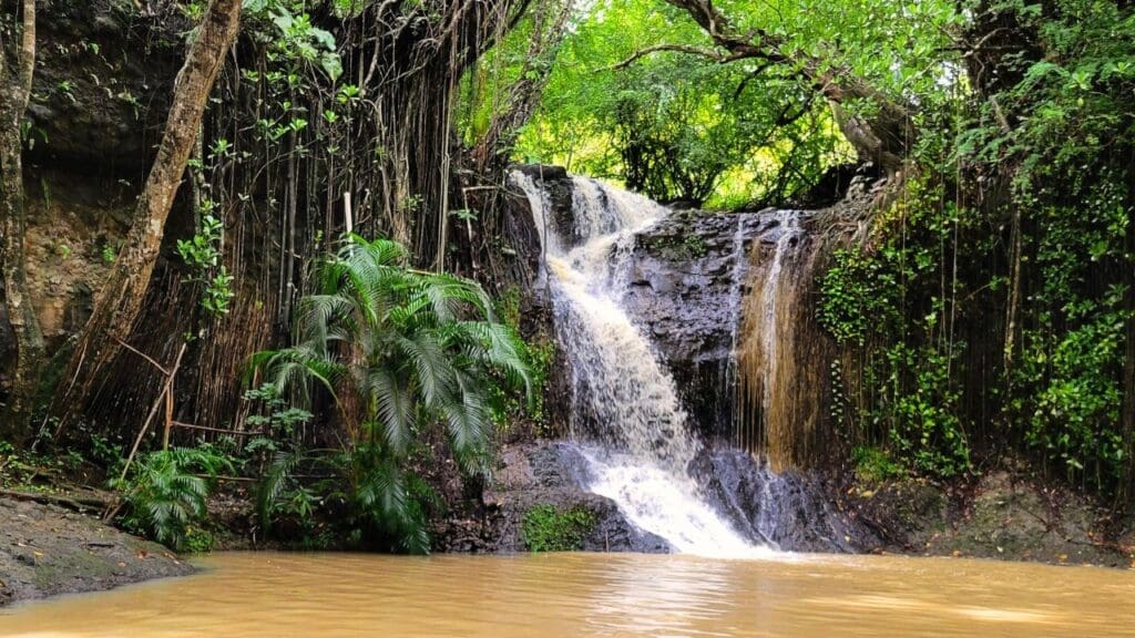 photo of waterfall at Latille Falls and Gardens in St Lucia