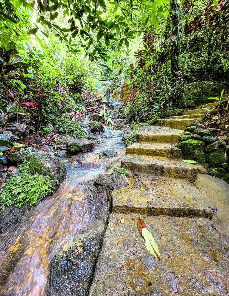 photo of steps leading to New Jerusalem Mineral Baths in St Lucia