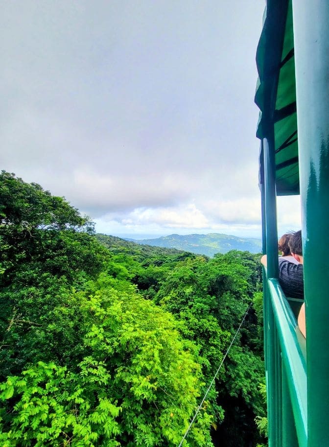 photo of view from aerial tram in St. Lucia ziplining course