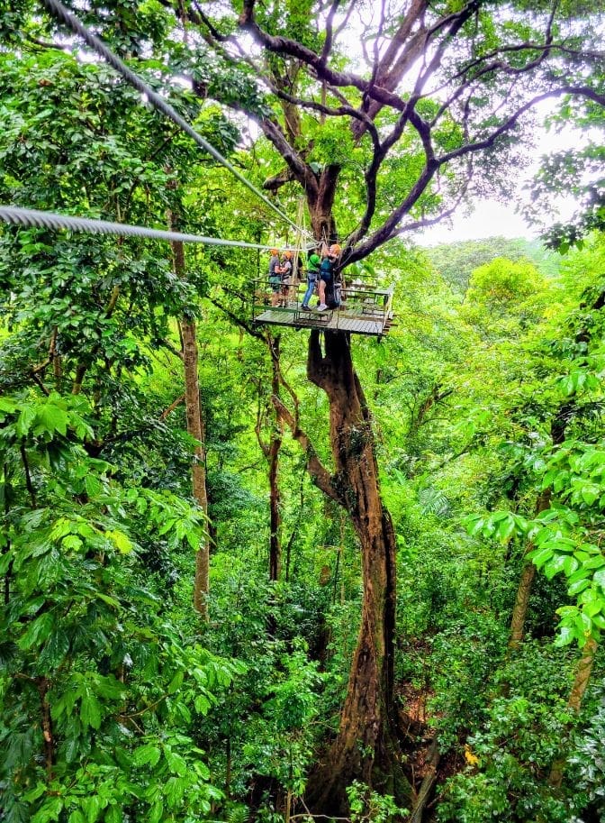 photo of zipline platform in St. Lucia rainforest