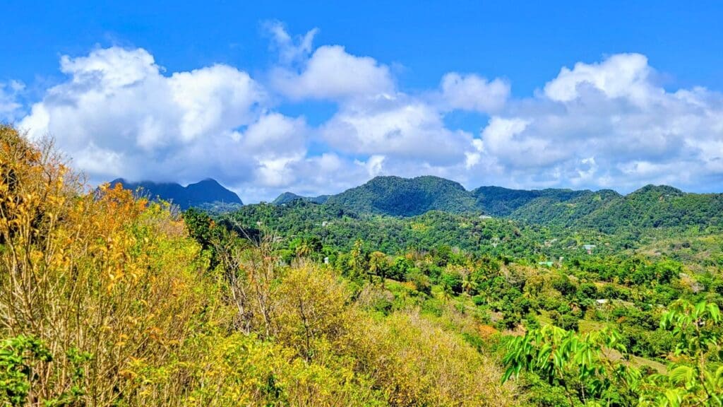 photo of views from the Tet Paul Nature Trail in St Lucia