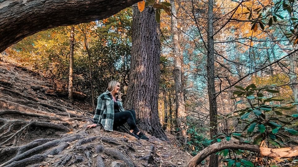photo of woman sitting on tree roots smiling