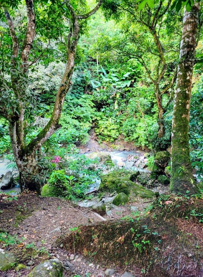 trail to New Jerusalem Mineral Baths