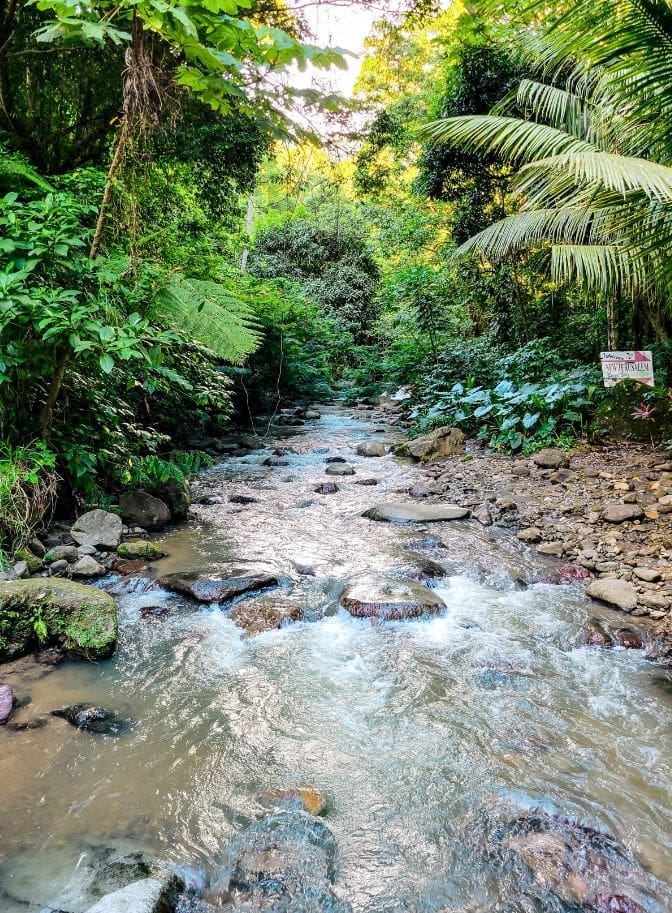 River near New Jerusalem Mineral Baths