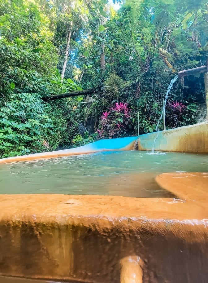 photo of New Jerusalem Mineral Pool in St. Lucia