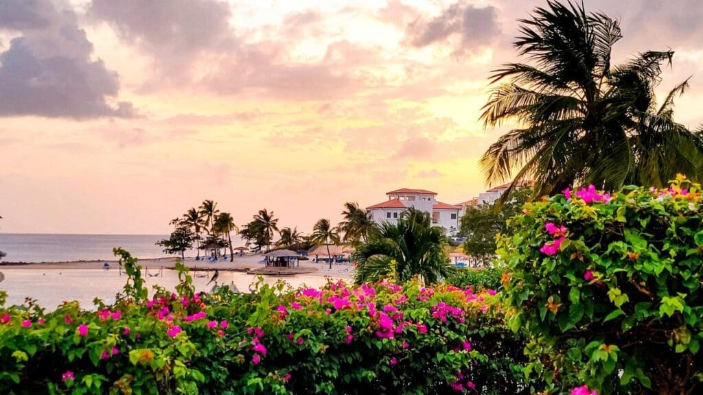 photo of pink sunset with pink flowering bush and Windjammer Landing Resort behind it
