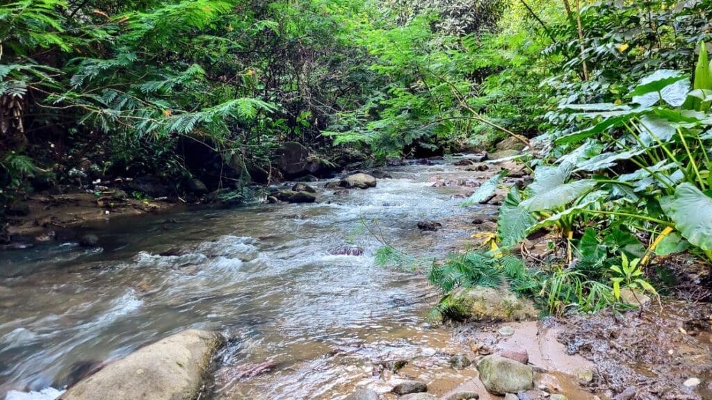 photo of river flowing in St. Lucia near New Jerusalem Mineral Baths