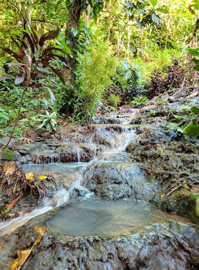 photo of mineral water tumbling down besides steps to New Jerusalem in St Lucia