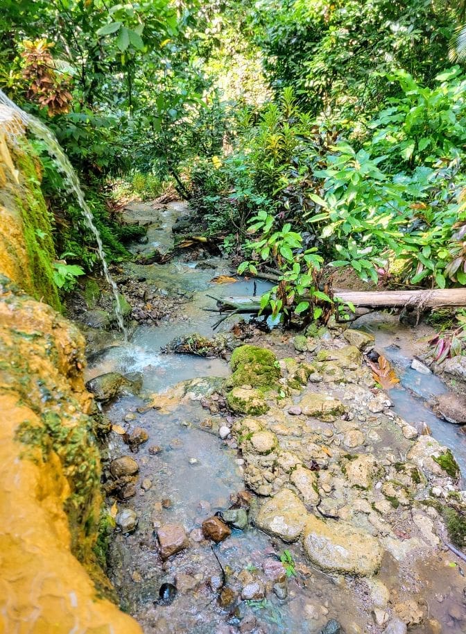 photo of the view from alongside the mineral pools in St. Lucia