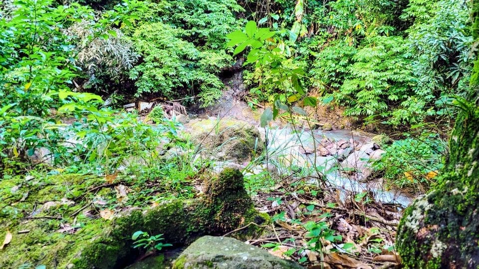 photo of river beside trail at New Jerusalem Mineral Baths