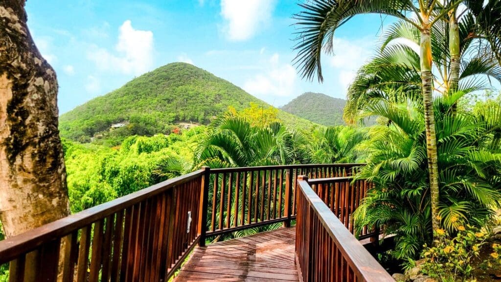 photo of hilltop views from Windjammer Landing