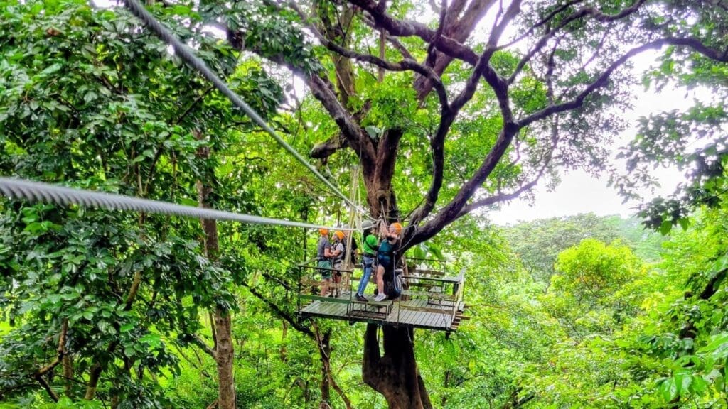 photo of zip lines in St. Lucia
