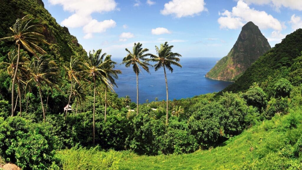 photo of the Pitons in the distance with palm trees and the ocean in St. Lucia