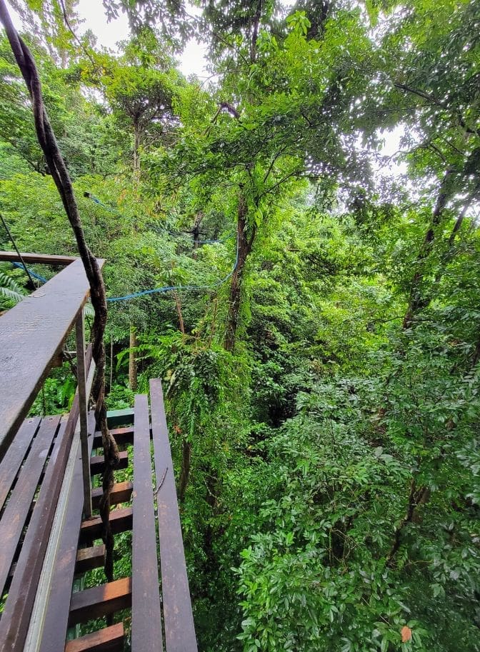 photo of zipline platform in St. Lucia