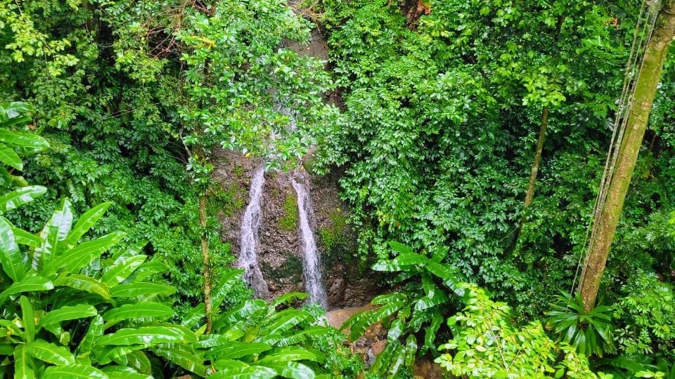 photo of waterfall streaming in St. Lucia rainforest