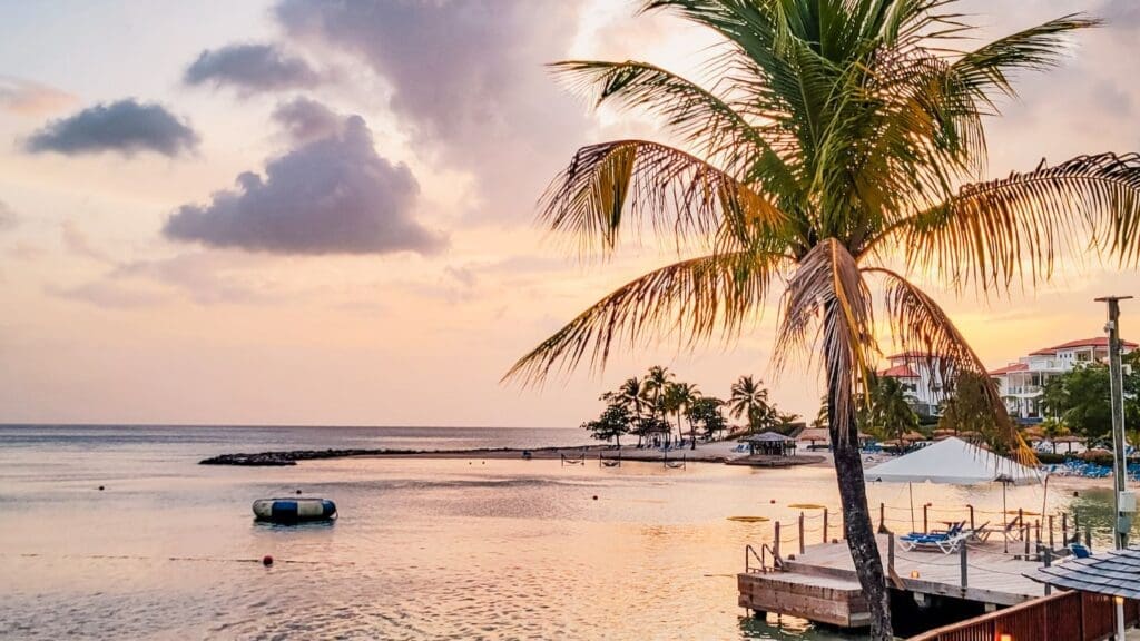 photo of sun setting in the distance with a palm tree in the forefront in St. Lucia