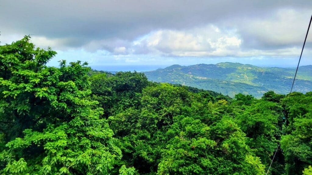 photo of views from aerial tram in St. Lucia rainforest