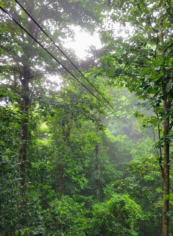 photo of zipline in St. Lucia through the mist