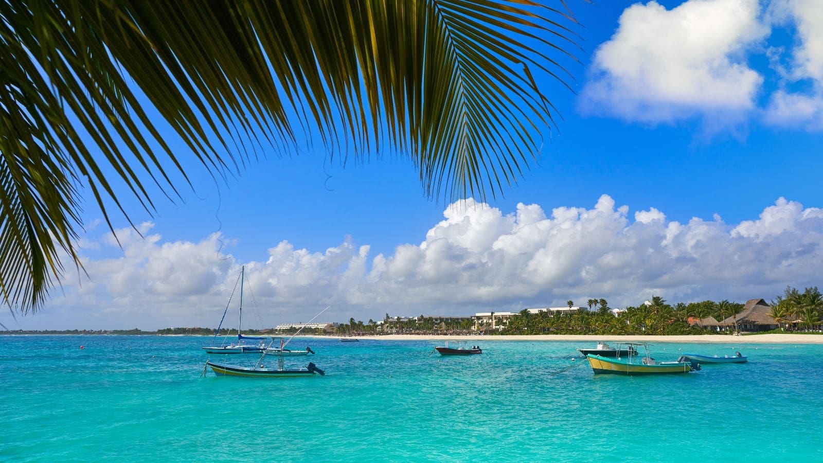 photo of Akumal Bay in Mexico