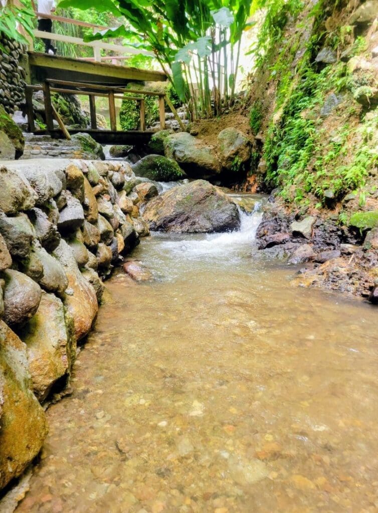 photo of river flowing along Toraille Waterfall in St. Lucia