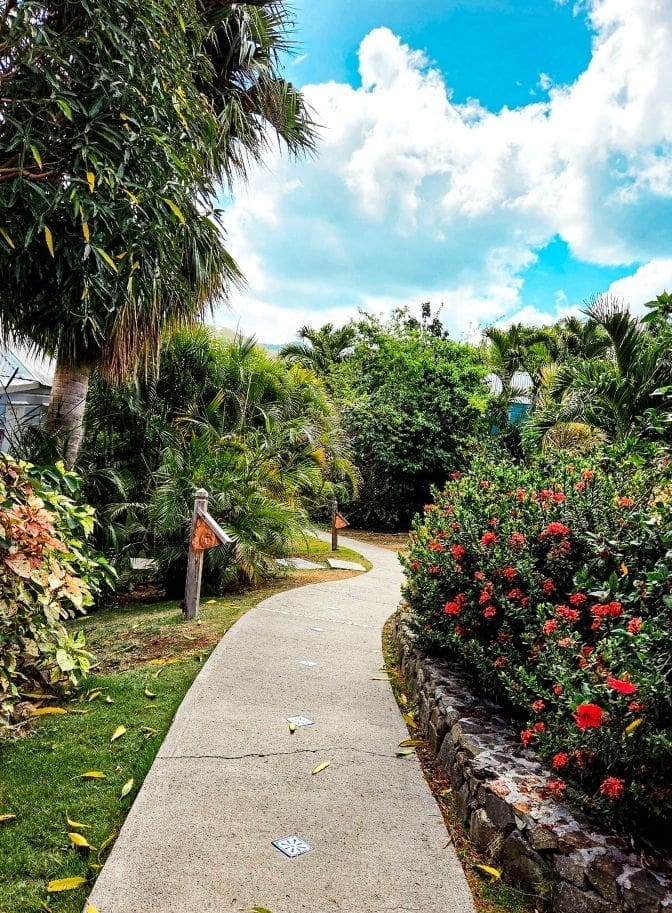 photo of walking path at Cocobay Resort in Antigua