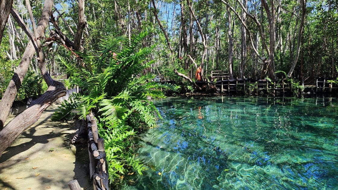 photo of cenote in Mexico Yucatan Peninsula