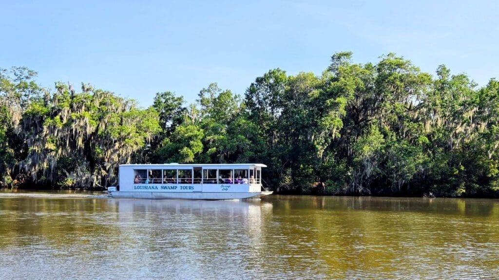 photo of alligator boat in Louisiana