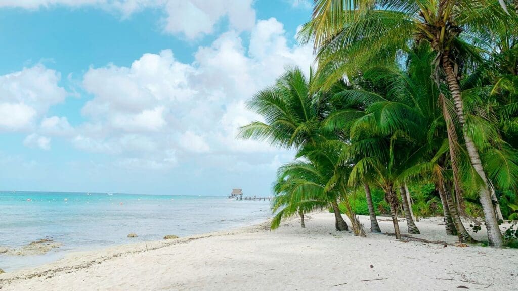 photo of beach in Mexico