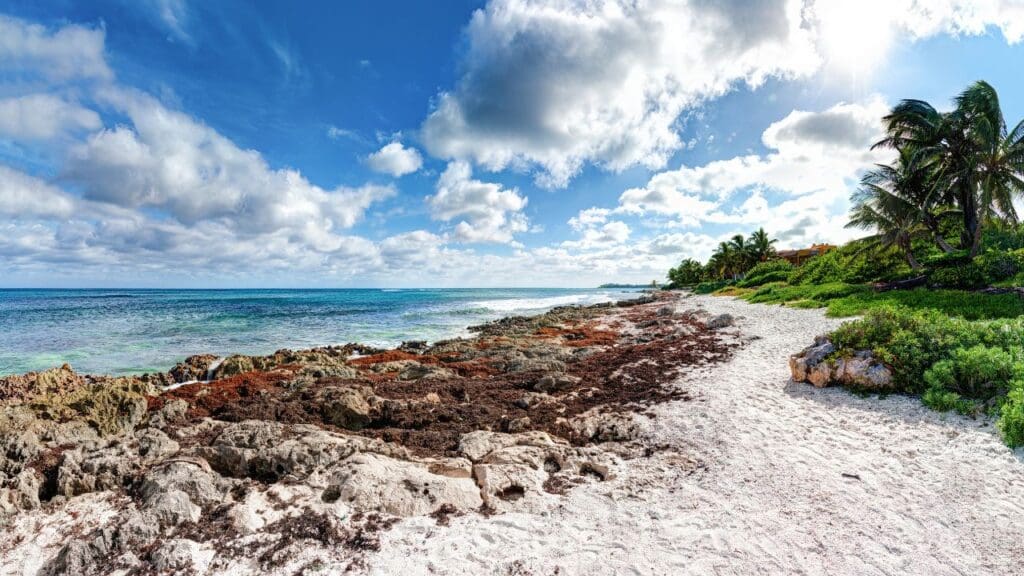 photo of Akumal Bay in Mexico