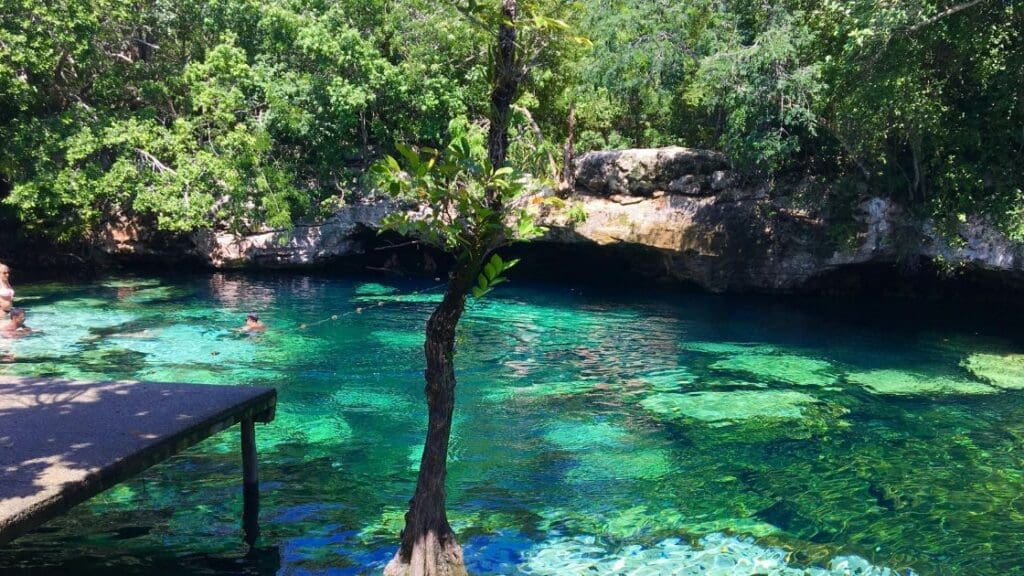photo of cenote in Playa del Carmen