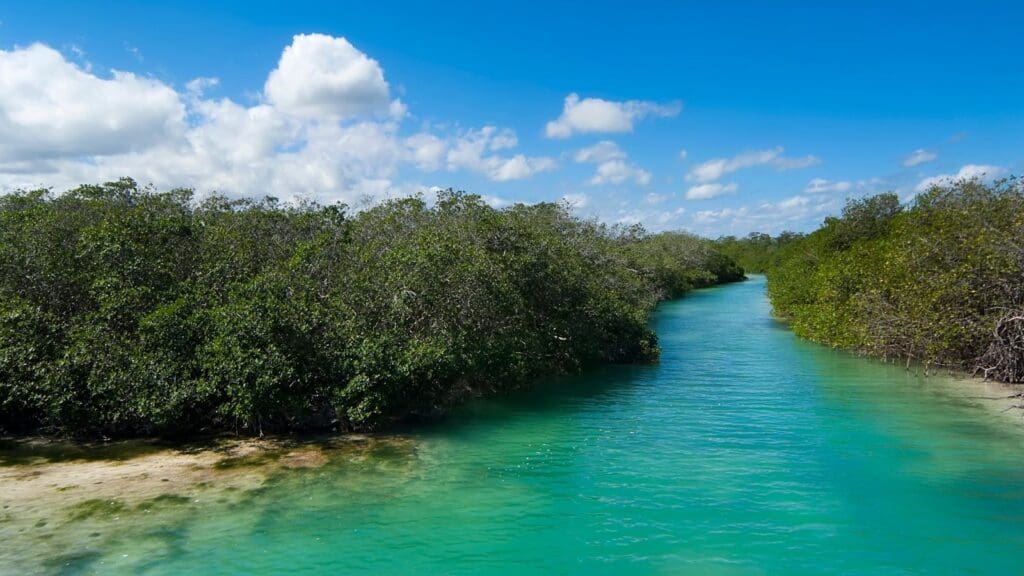 photo of Sian Ka'an Biosphere Reserve