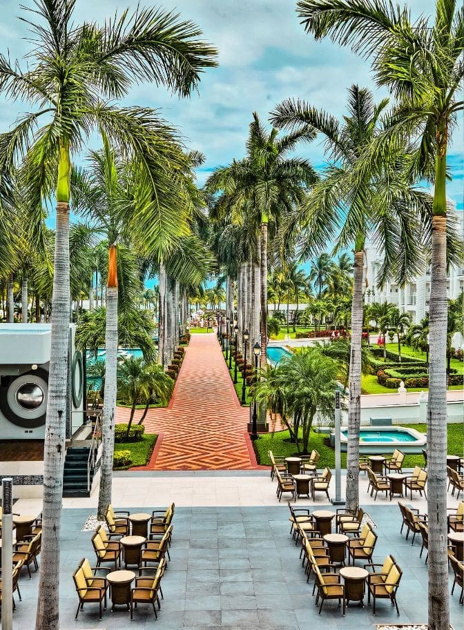 photo of walkway and palm trees at Riviera Maya