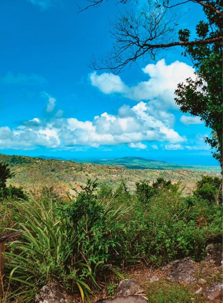 photo of view from Tet Paul trail in St. Lucia