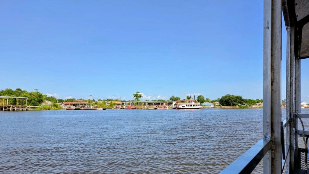 photo of Louisiana bayou from alligator tour boat