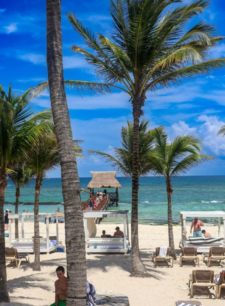 photo of palm trees and beach at Playa del Carmen