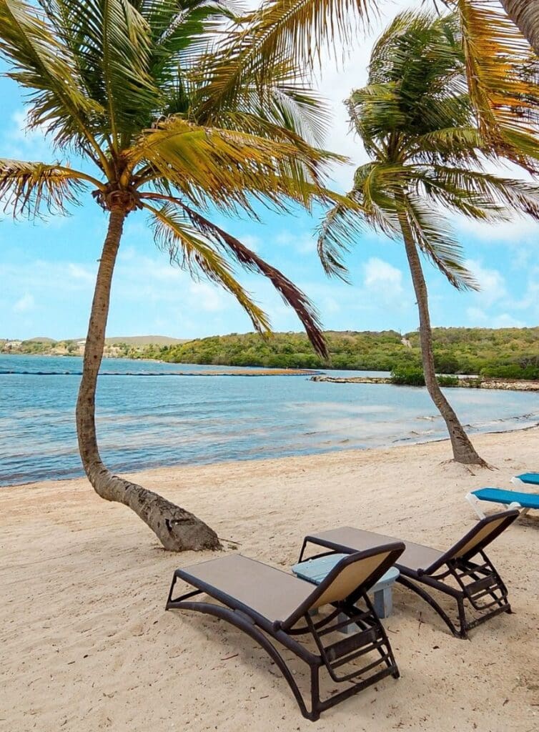 photo of lounge chairs and palm trees at resort in Antigua