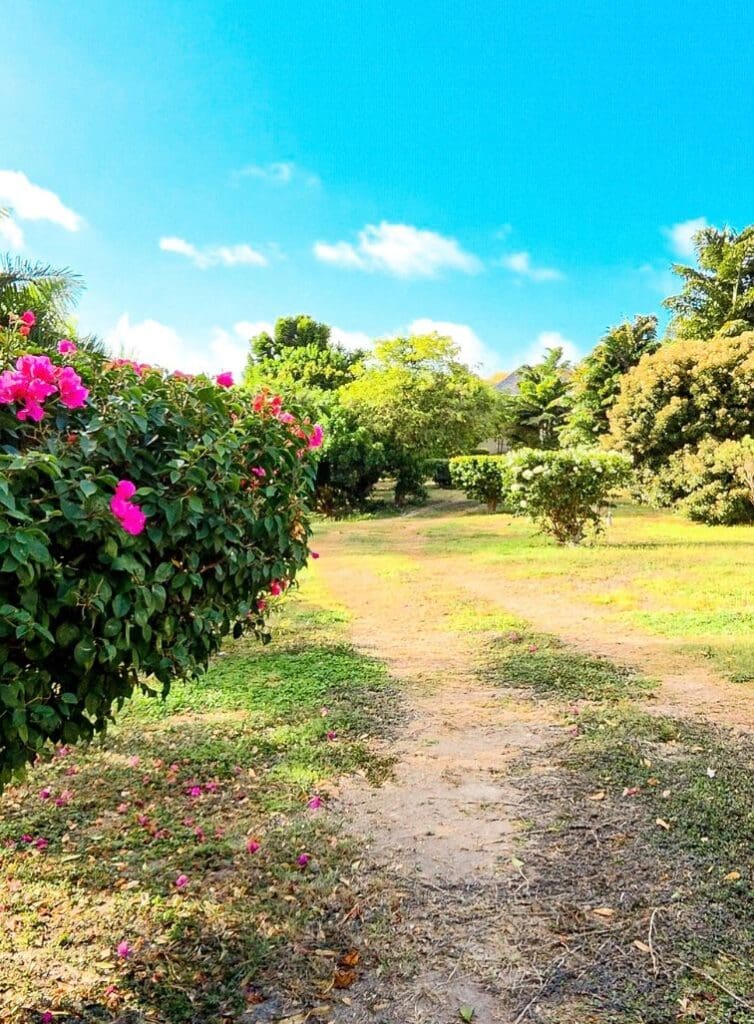 photo of garden at The Escape at Nonsuch Bay
