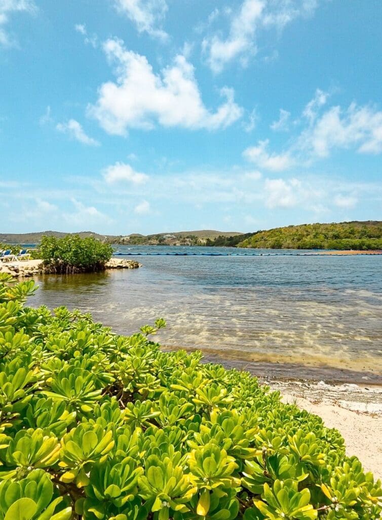 photo of beach at The Escape at Nonsuch Bay